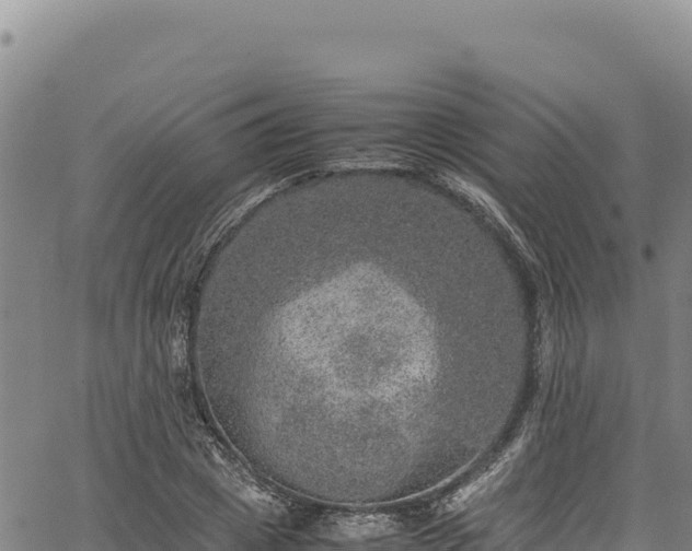 X0000064770833200602131314