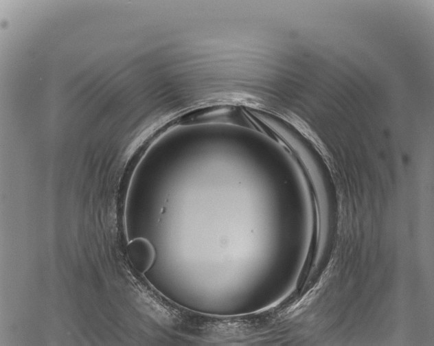 X0000064770834200602131314