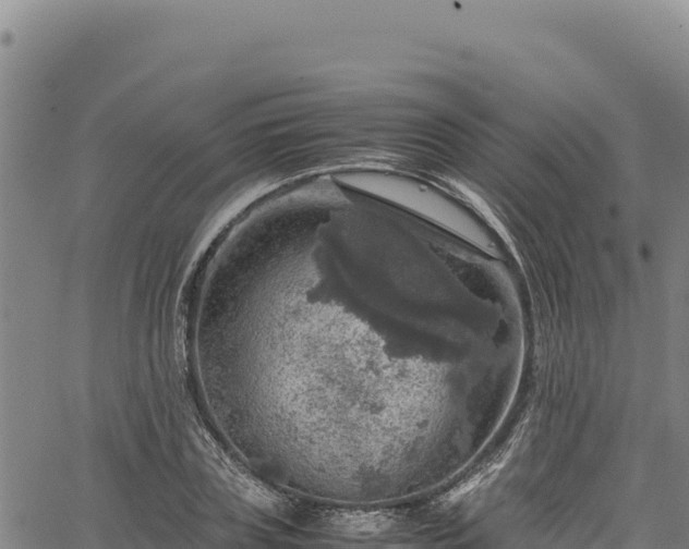 X0000064770835200602131314