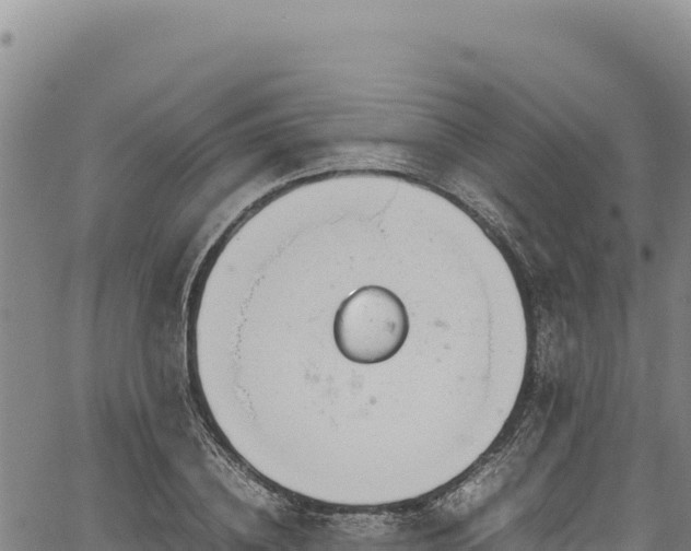 X0000064770836200602131314