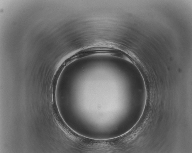 X0000064770838200602131314