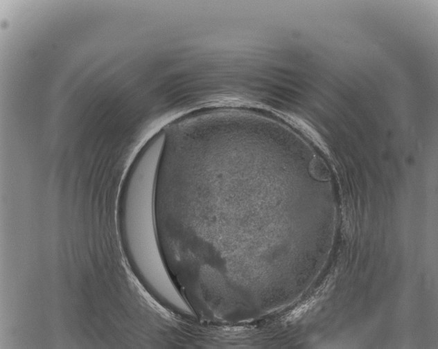 X0000064770839200602131314