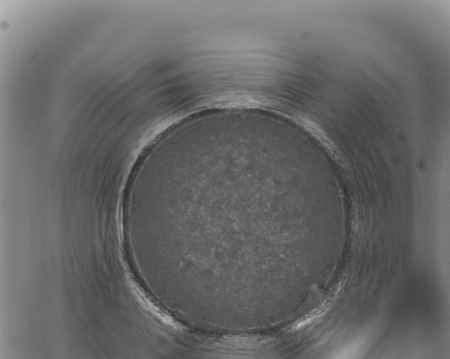 X0000064770840200602131314