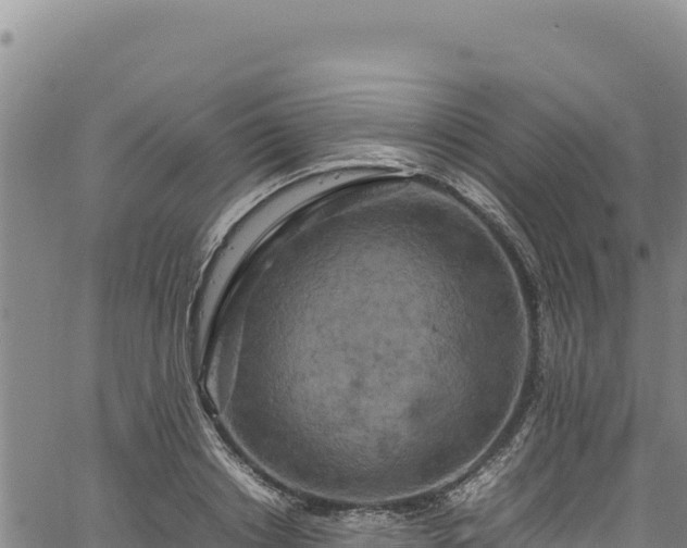 X0000064770842200602131314