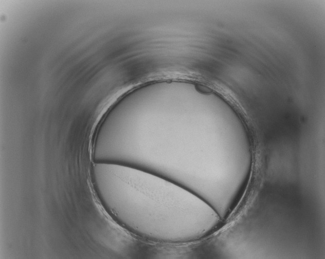 X0000064770844200602131314