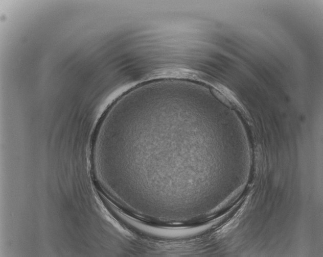 X0000064770846200602131314