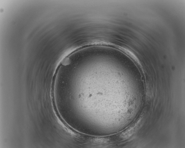 X0000064770847200602131314