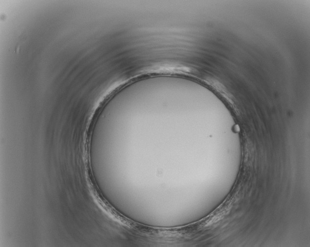 X0000064770848200602131314