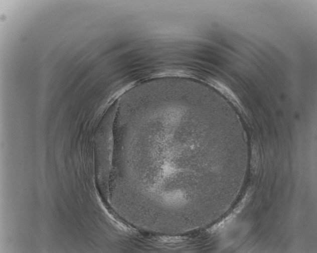 X0000064770849200602131314