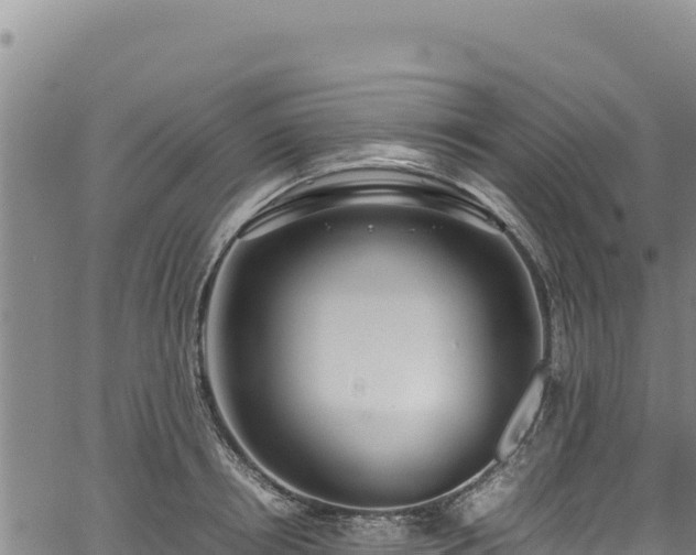 X0000064770850200602131314