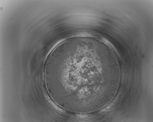 X0000064770852200602131315