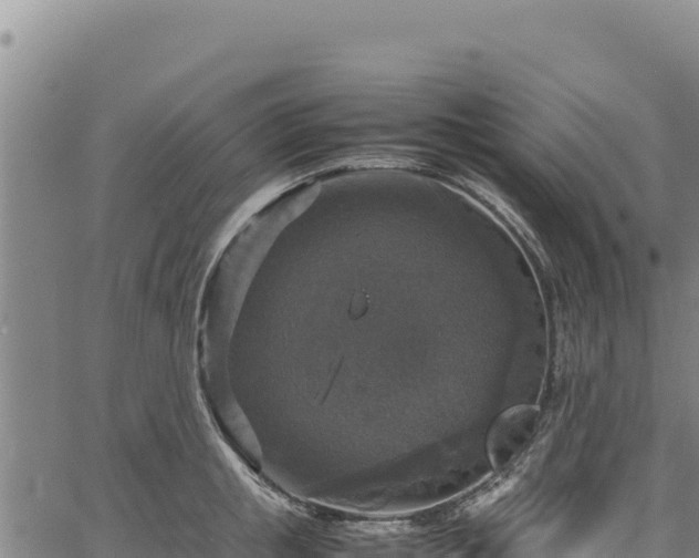 X0000064770853200602131315