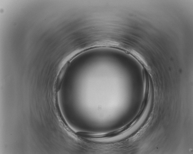 X0000064770854200602131315