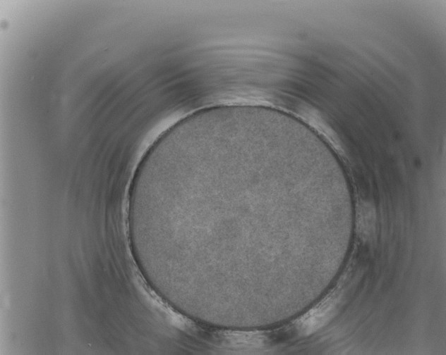 X0000064770856200602131315