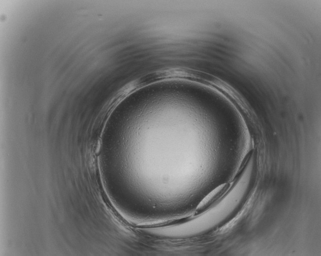 X0000064770857200602131315