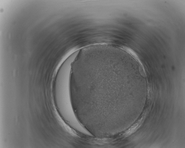 X0000064770859200602131315