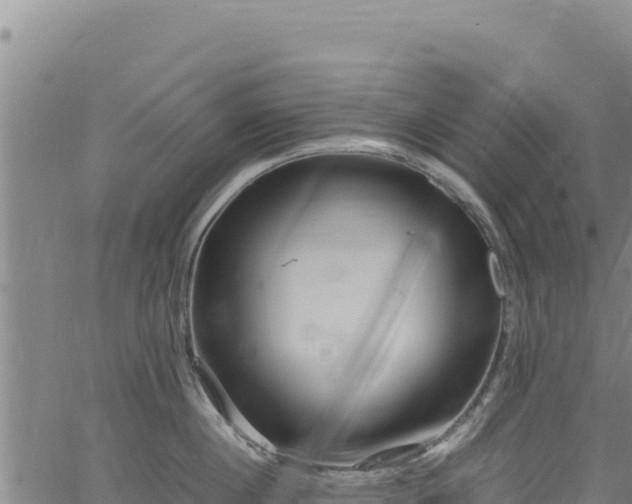 X0000064770860200602131315