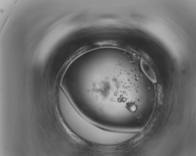 X0000064770861200602131315