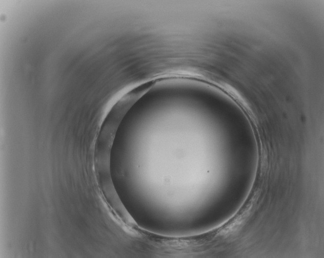 X0000064770862200602131315