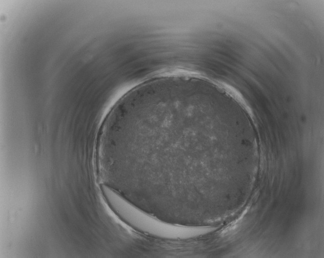 X0000064770863200602131315