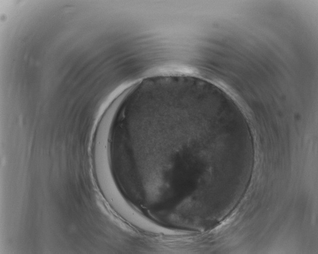 X0000064770864200602131315