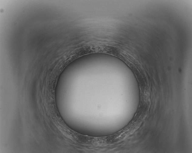 X0000064770865200602131314