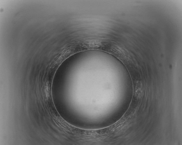 X0000064770866200602131314