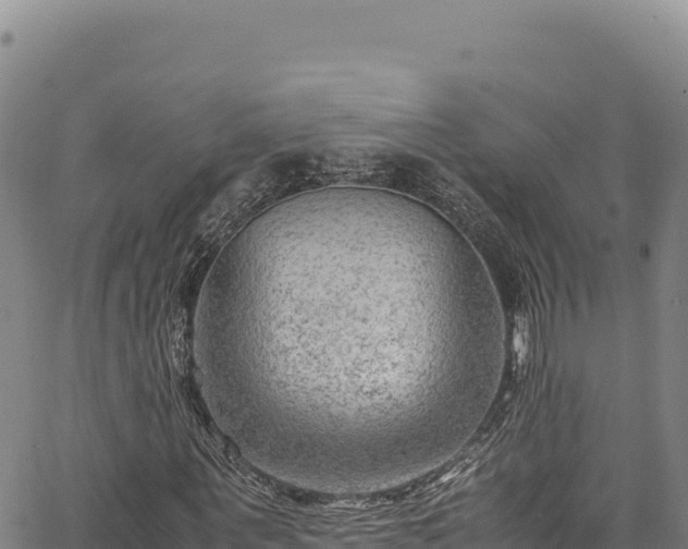 X0000064770867200602131314