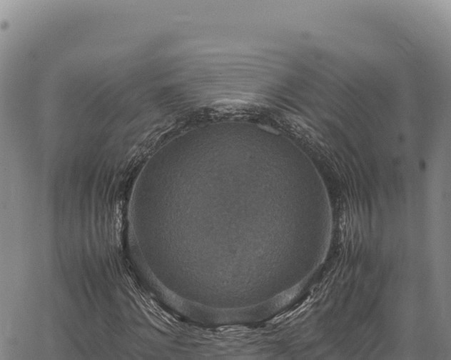 X0000064770868200602131314