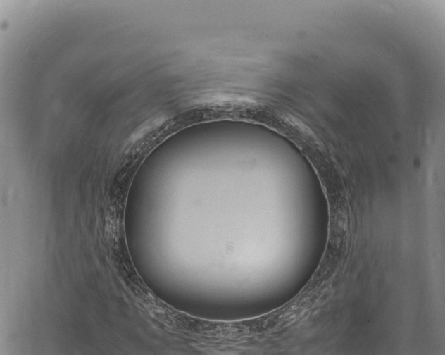 X0000064770869200602131314