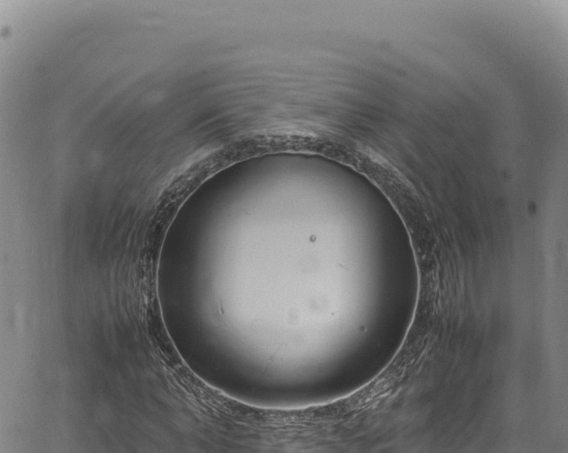 X0000064770870200602131314