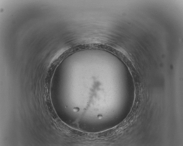 X0000064770871200602131314