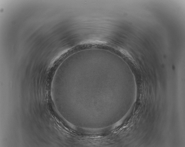 X0000064770872200602131314