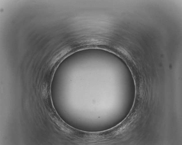 X0000064770873200602131314