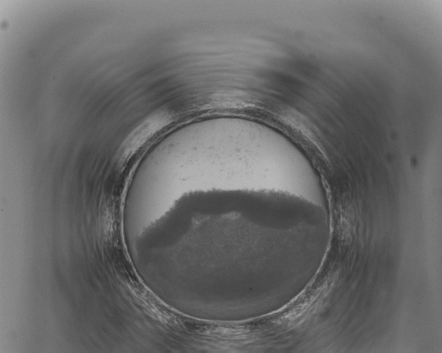 X0000064770874200602131314