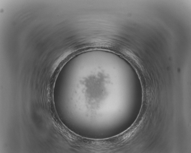 X0000064770875200602131314