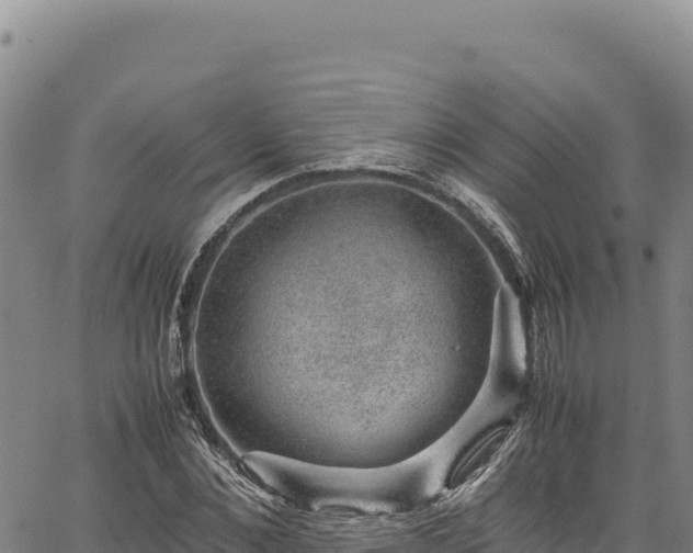 X0000064770876200602131314