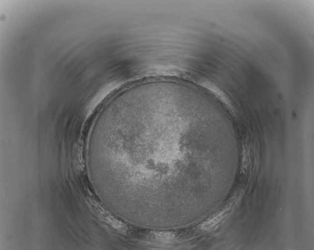 X0000064770878200602131314