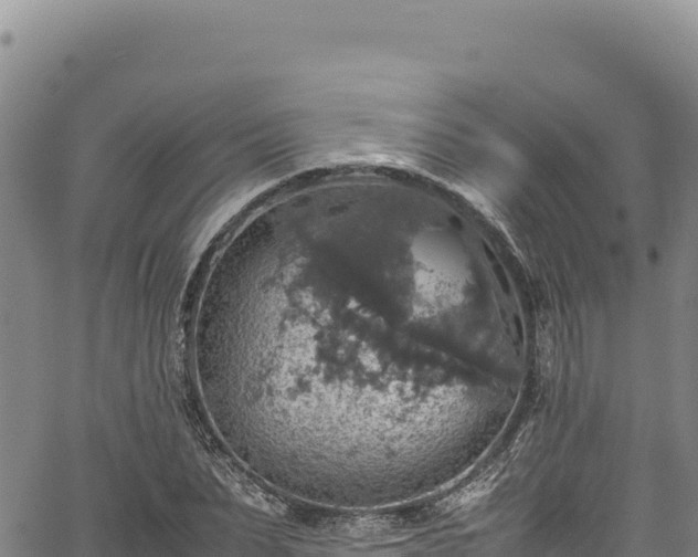 X0000064770879200602131314