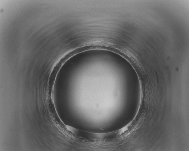 X0000064770880200602131314