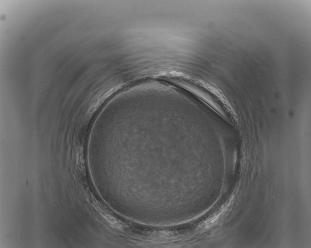 X0000064770881200602131314