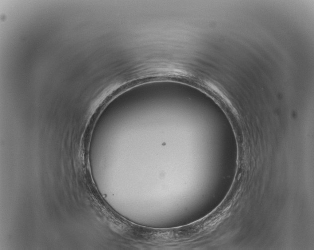 X0000064770883200602131314