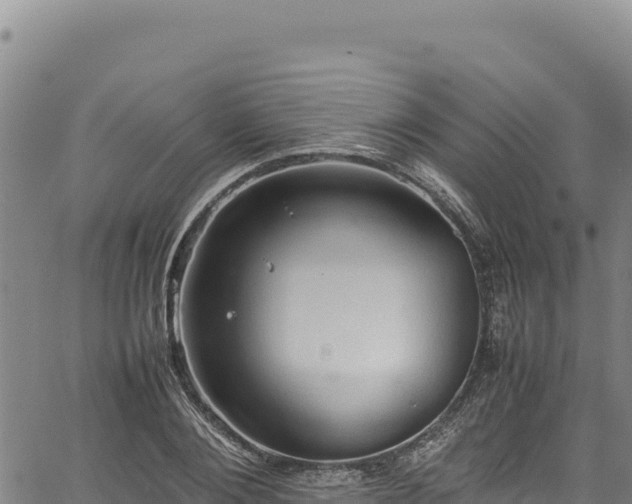 X0000064770884200602131314