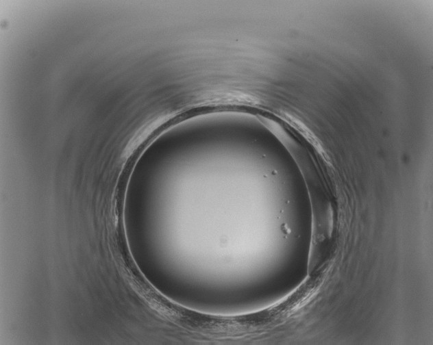 X0000064770885200602131314