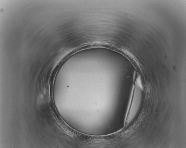 X0000064770886200602131314