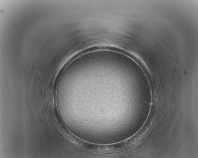 X0000064770887200602131314