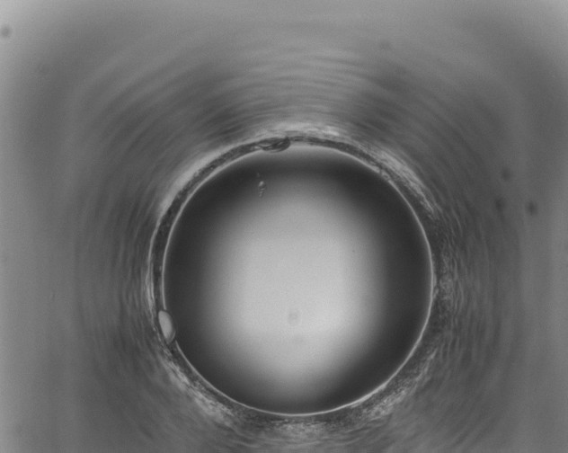 X0000064770888200602131314