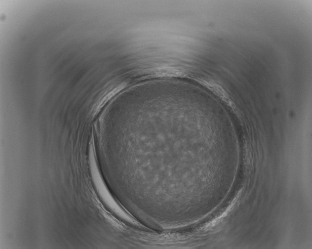 X0000064770889200602131314