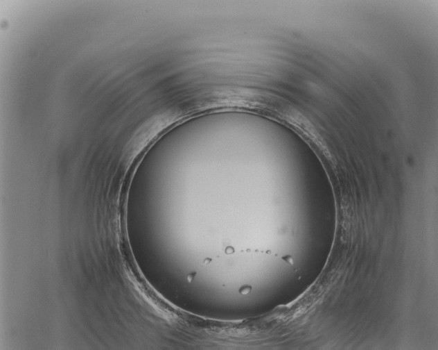 X0000064770890200602131314