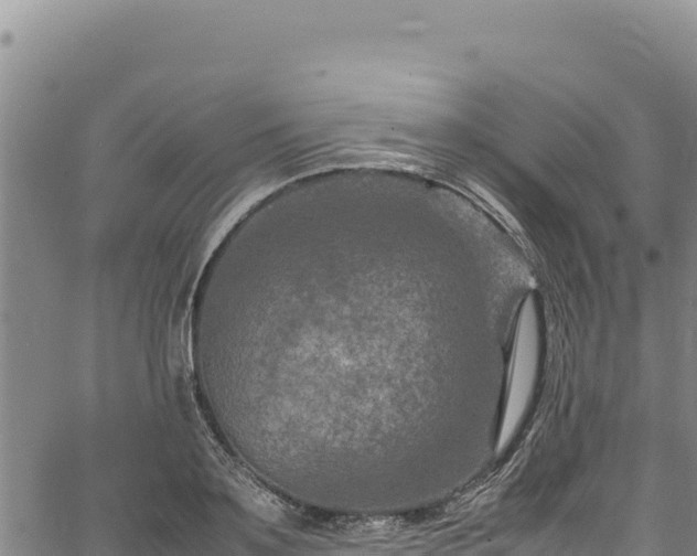 X0000064770891200602131314